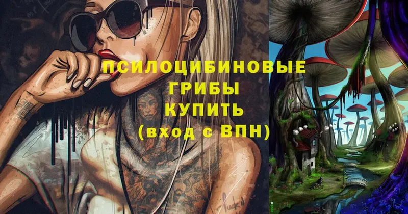 Псилоцибиновые грибы мицелий  Рубцовск 